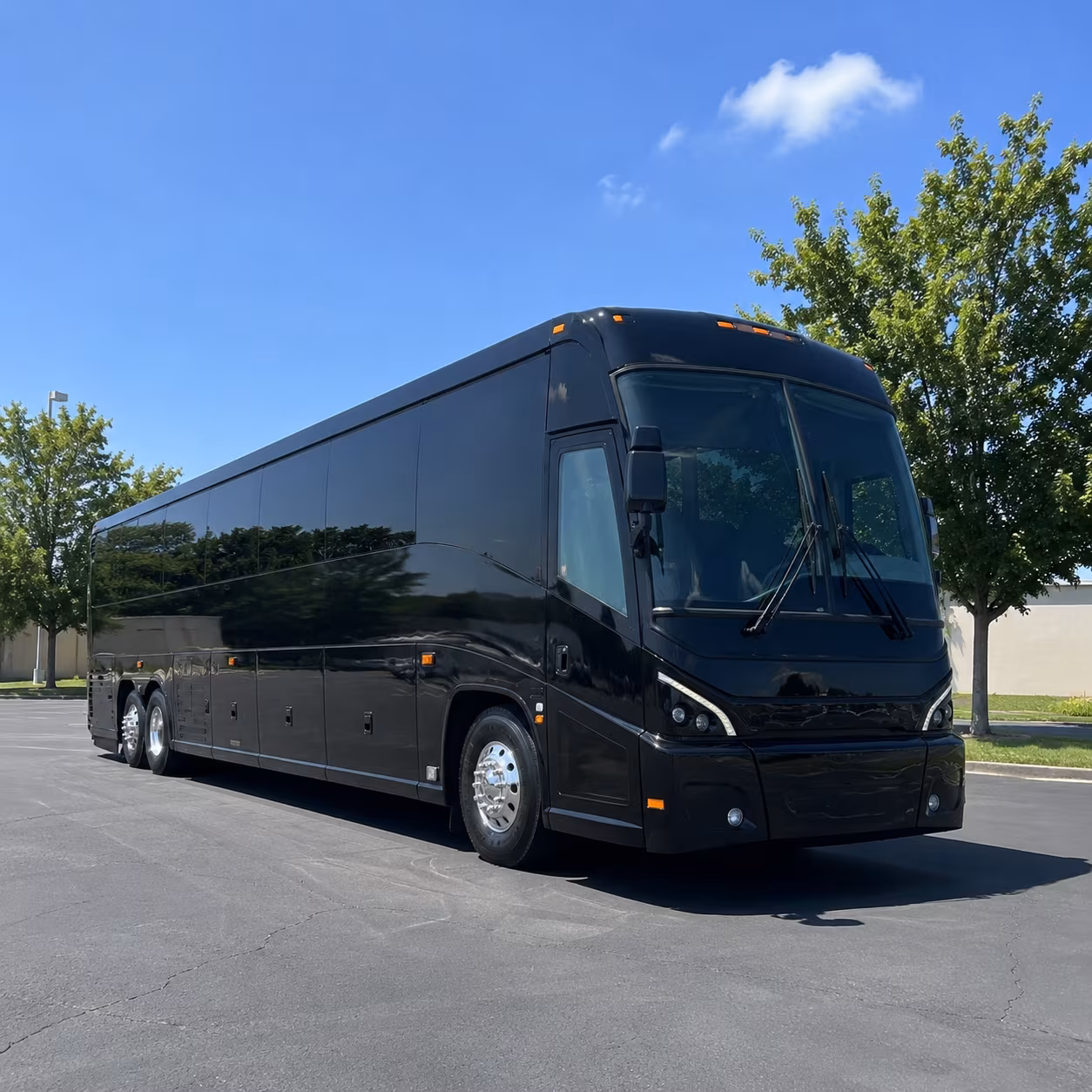 galveston cruise transfers and beach group trips from pearland